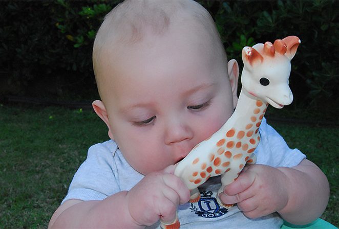 Le best seller Sophie la girafe se décline en produits dérivés