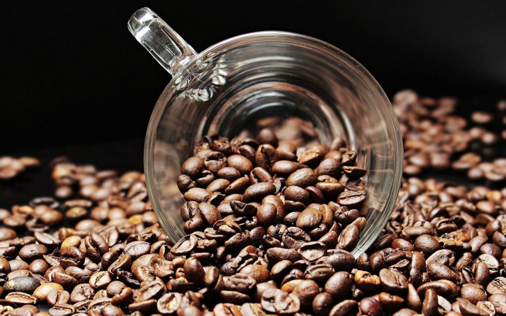 Quelle est l’origine du café Malongo?