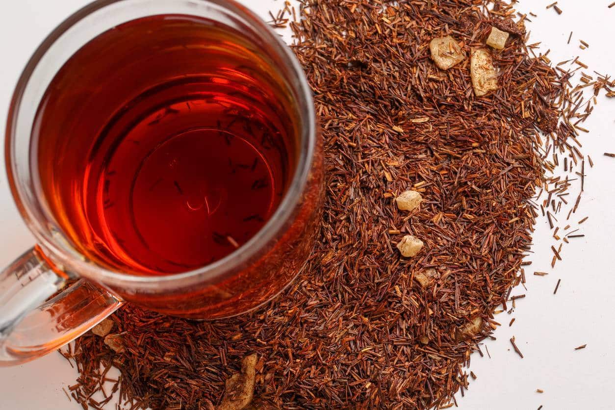 Rooibos