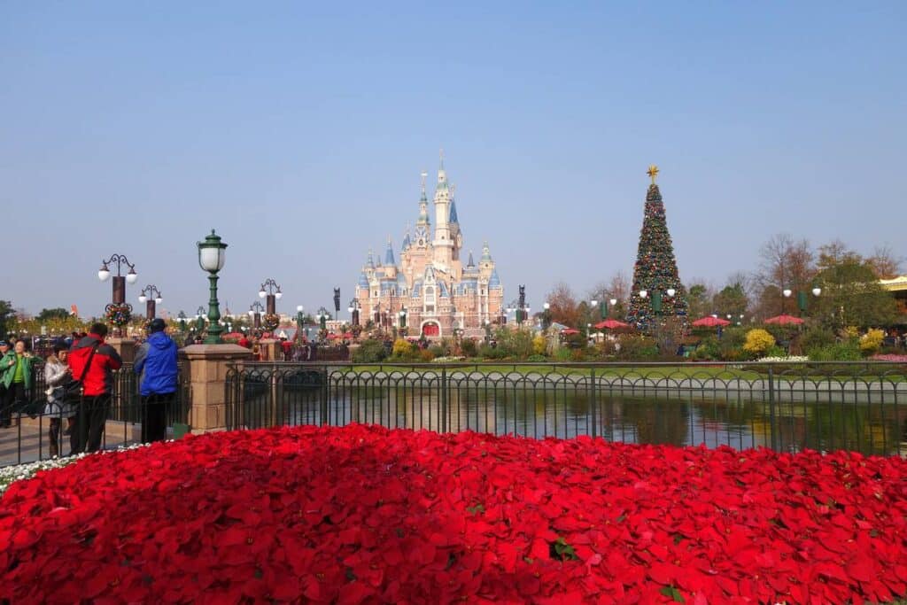 visuel disneyland organiser 